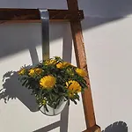 Lägenhet Ofelia Terrace House