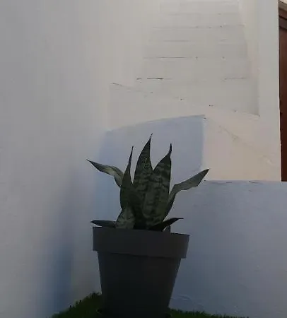 Ofelia Terrace House Portimão