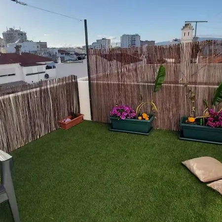 Apartament Ofelia Terrace House