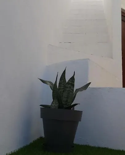 Ofelia Terrace House Portimão