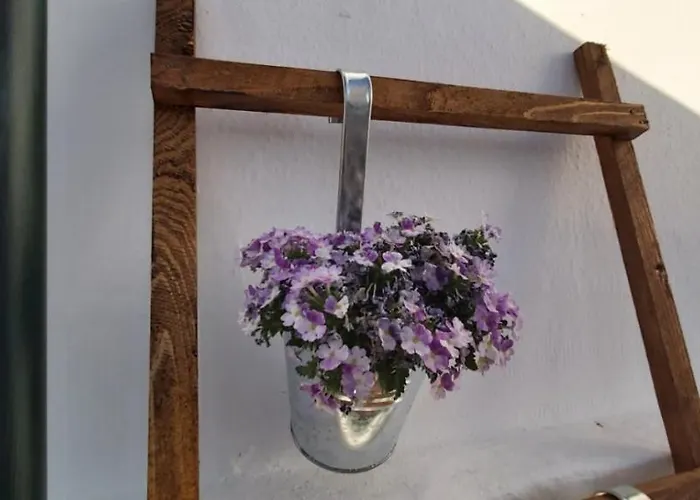 Ofelia Terrace House