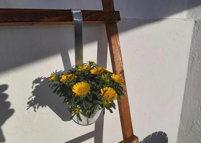 Apartamento Ofelia Terrace House