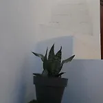 Ofelia Terrace House 波尔蒂芒